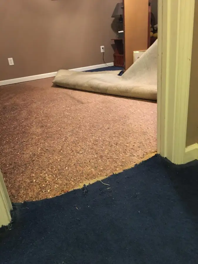 Carpet pad removal revealing water damage during Water Mitigation Services in Chillum