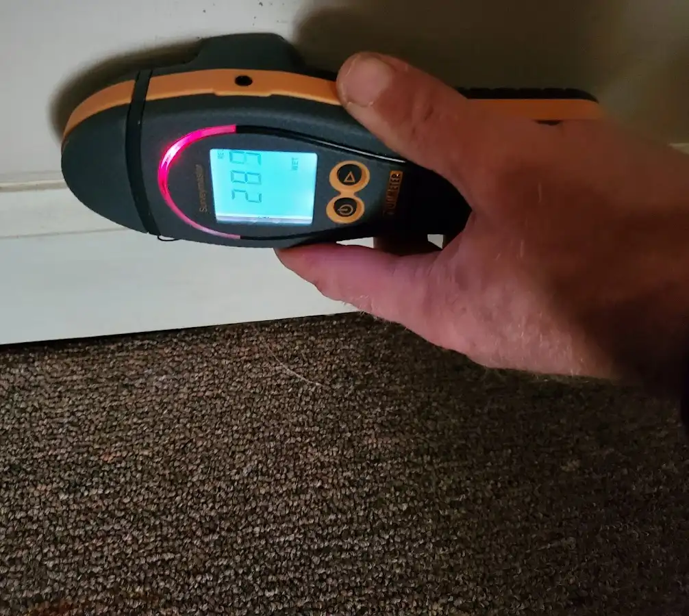 Moisture detection at baseboard during Sewage Cleanup & Sanitation in Chillum